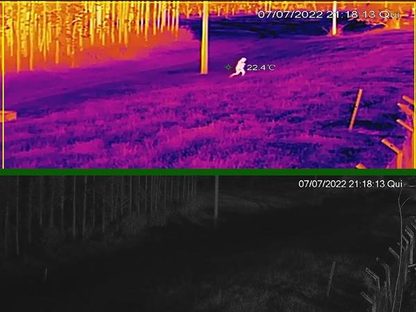 QvK_NZGsGM4